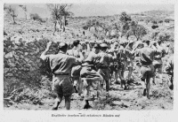 View of allied prisoners of war being marched with their hands up through the countryside of Crete, Greece, during World War II.  From the German the caption translates into: `Englishmen appear with hands raised'. Original photograph taken in 1941 by an unidentified photographer. Copy possibly taken by Captain A J Tillick