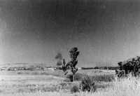 Landscape at Khania. Smoke in the background rises from unidentified ship in Suda Bay.