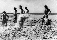 Soldiers from the 1st Contingent of New Zealanders training to dig weapon pits in Egypt. Taken by an unidentified photographer, circa 1941
