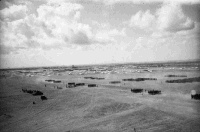 World War II, Troops parading at Maadi Military Camp in Cairo, Egypt. Taken by an unidentified photographer, circa 1941.