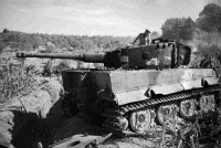 The first German Tiger tank to be knocked out NZ Tanks during World War Two. It fell to the 18th NZ Armored Regiment during the advance to Florence, Italy. Photograph taken by George Kaye on the 26th of July 1944.  