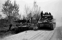 A NZ Sherman tank passing out a knocked out German tank, across the Senio River. The Tiger was attacked by Piat mortar fire from a member of the 24th Battalion. Photograph taken by George Kaye on the 10th of April 1945.