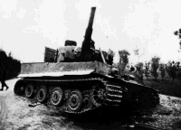 German Tiger Tank Italy