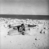 2nd NZEF Soldier emerging from a dug-out in Baggush, Egypt, during manouevres in the Western Desert. Unidentified photographer on the 30th of October, 1941.  