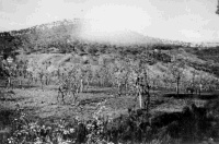 A view of the 22nd Battalion Point 361, which was the final objective in the attack before Florence and from which Platoon numbers 16 and 14 were driven off after a counter attack.  Photograph taken by C S Barnden, July 1944.  Note on back reads: 22 Bn point 361. 22nd Bn final objective in the attack before Florence from which our pl no 16 together with no 14 was driven off after a counter attack.